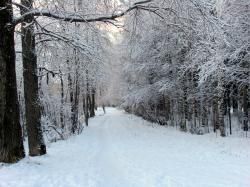 Вот такое плохое лето0001